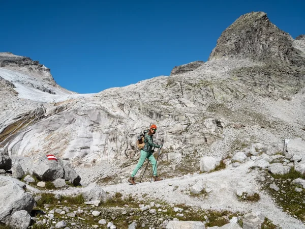 Nordic walking - zbawienna dla ciała aktywność fizyczna. Jakie korzyści przynosi?